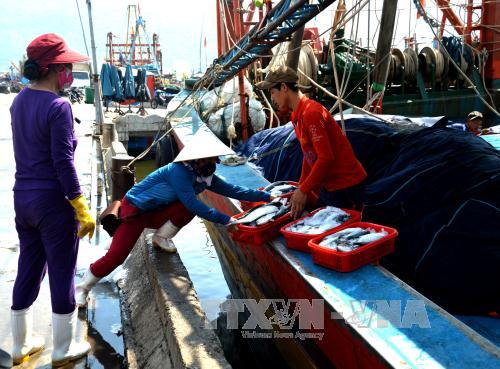 Một năm sau sự cố môi trường, biển miền Trung đã an toàn